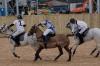 Oxford Polo 2023_01_08 0131